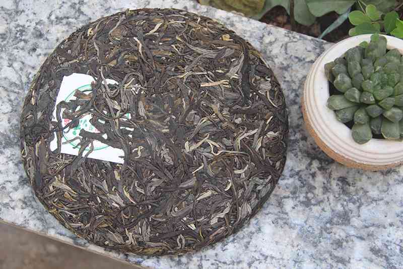 永明普洱茶新茶怎么样好喝吗