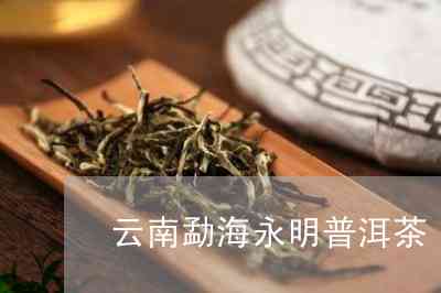 永明普洱茶新茶怎么样好喝吗