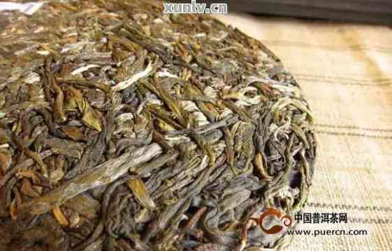 永明普洱茶新茶怎么样好喝吗