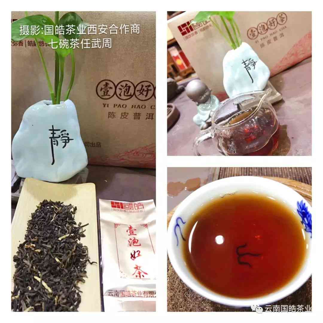 陈皮普洱茶与陈皮白茶的比较：哪个更适合你？