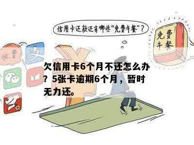 信用卡逾期6个月，暂时无法偿还：怎么办？