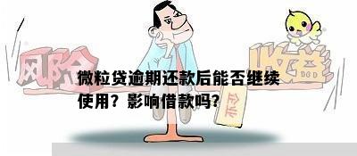 微粒贷还款逾期后，部分还款仍会继续吗？