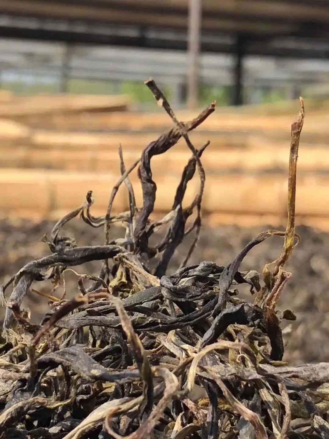 普洱茶的营养成分及其对健的影响：探讨碳水化合物含量及其它未知元素