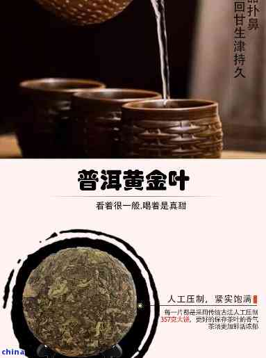 普洱茶黄金叶和黄金片一样吗能喝吗：女性喝普洱茶黄金叶的功效与作用