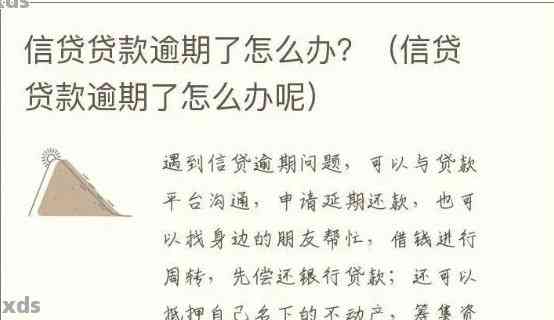 一个贷款可以算多笔逾期吗怎么办：探讨贷款逾期次数和处理方式