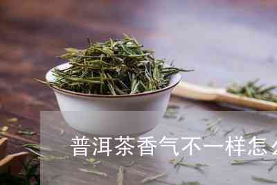 新普洱茶香气不足？探索原因及解决方法！