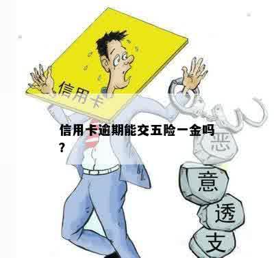 信用卡逾期能否购买五险吗？如何办理？