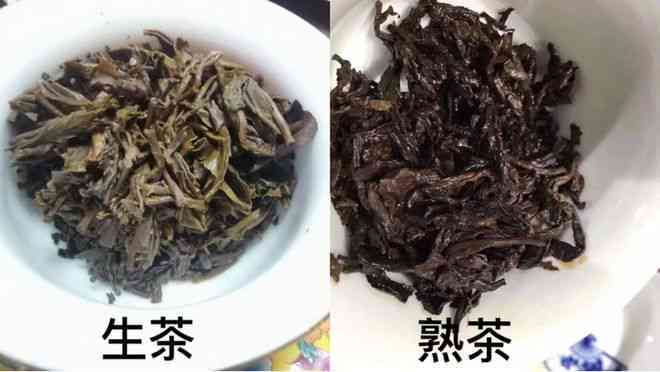 云南特色普洱茶：探索生茶与熟茶的口感差异，究竟哪个更美味？