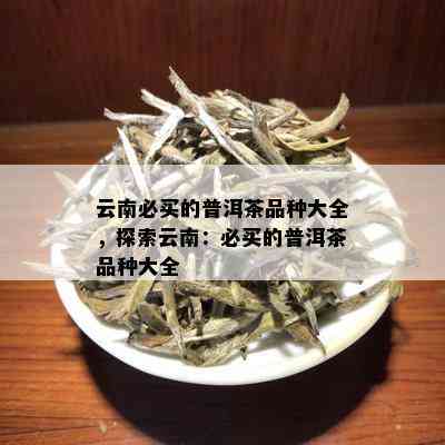 云南特色普洱茶：探索生茶与熟茶的口感差异，究竟哪个更美味？