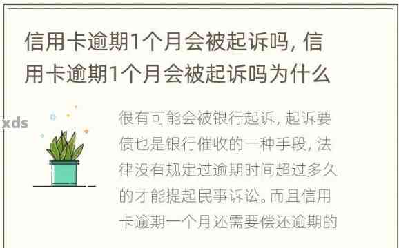 信用卡逾期三个月后的法律处理策略：如何避免被起诉