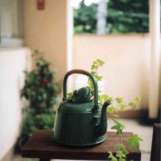 下雨天在家怎么打发时间？进来喝普洱茶，品味生活小确！