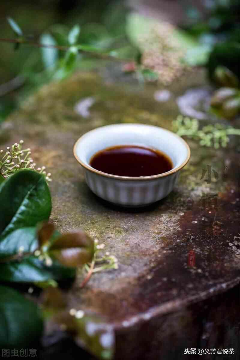 下雨天里，与普洱茶相伴，品味生活的美好时光