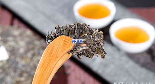 普洱茶的甜味之谜：生茶与熟茶中的口感差异与成因探讨