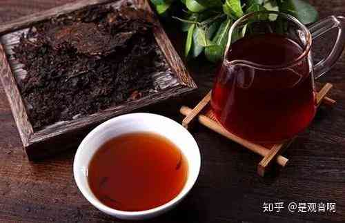 探究普洱茶380克的价格与品质：从高端茶定义看其由来与特点