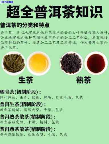 普洱茶口味选择指南：如何挑选适合自己的好喝普洱茶？