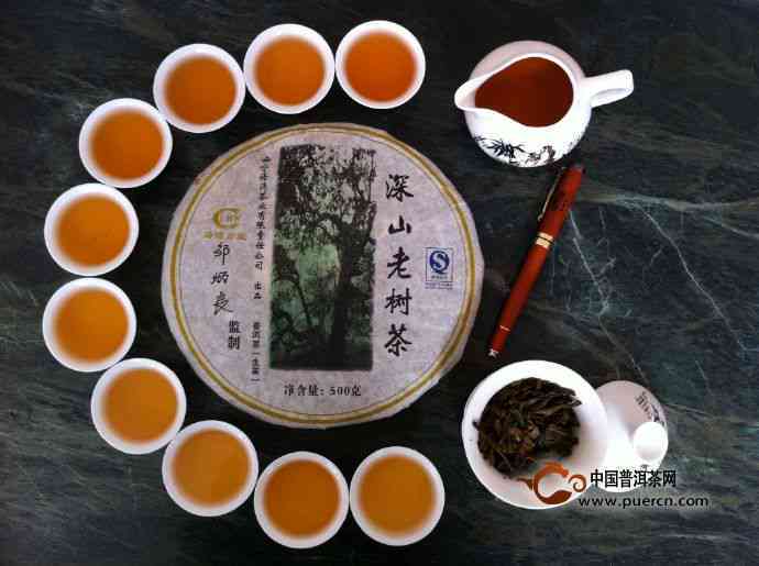 新 深山老树普洱茶：老同志精选，品质与传承的完美结合