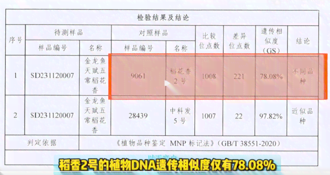 '璞玉去哪购买好点：优质购买途径与推荐'