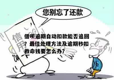 逾期款项自动扣除后如何进行退款操作 - 全面解决用户疑问