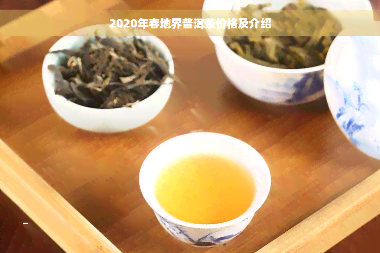 地界普洱茶2020春的价格与含义及相关介绍