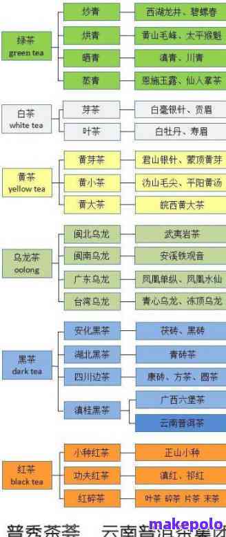 普洱茶全面指南：全球知名及本地一网打尽