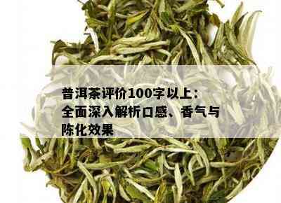 深入解析：普洱茶中的老生茶口感特征及其独特魅力