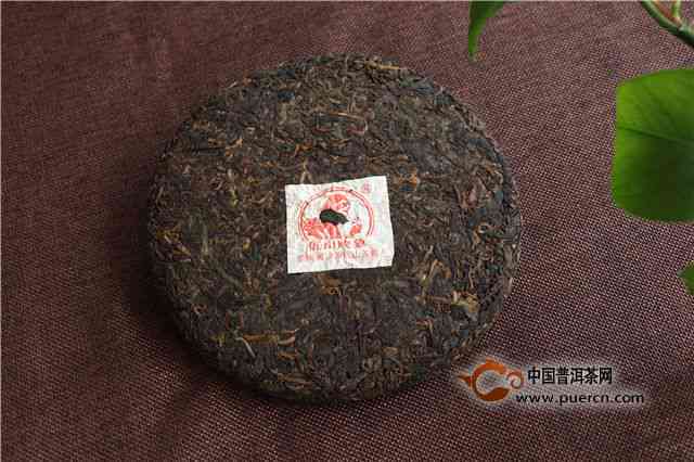 古树普洱茶500年：历经岁月沉淀的价值与价格探究