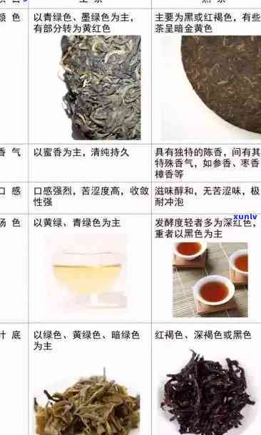 探索卡普洱茶生茶：品种、产地、制作工艺与品鉴技巧的全面解析