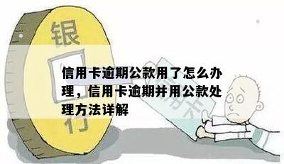 信用卡逾期并开设了对公蓄卡，我应该如何妥善处理？