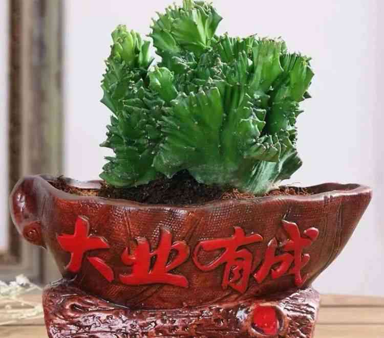 玉麒麟挂件寓意与象征：风水作用与文化含义