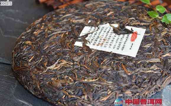 几款便宜又高香的普洱茶品种