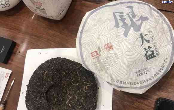 四星雀茶：大益普洱与生茶的完美结合