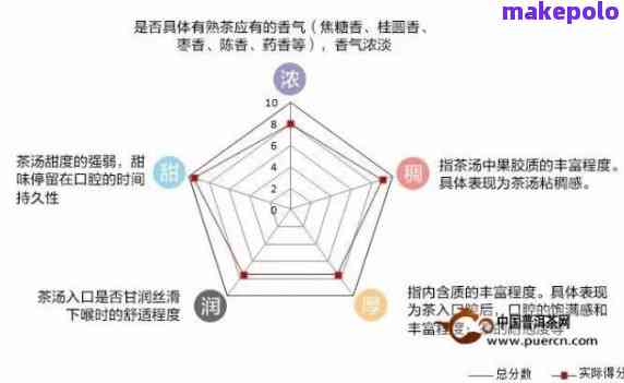 全面剖析886标杆普洱茶：独特优点与品鉴方法，助您成为普洱茶专家