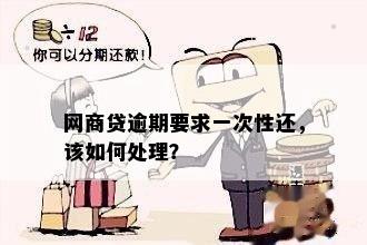 关于网商贷逾期一次性偿还的相关问题解答：是否可行及操作步骤