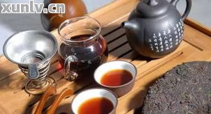 西安曲江澜沧古茶专营店：优质普洱茶品种与专业冲泡指导一应俱全