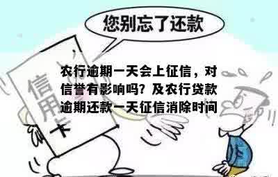 农业银行装修贷款信用卡逾期一天是否会产生信用影响？