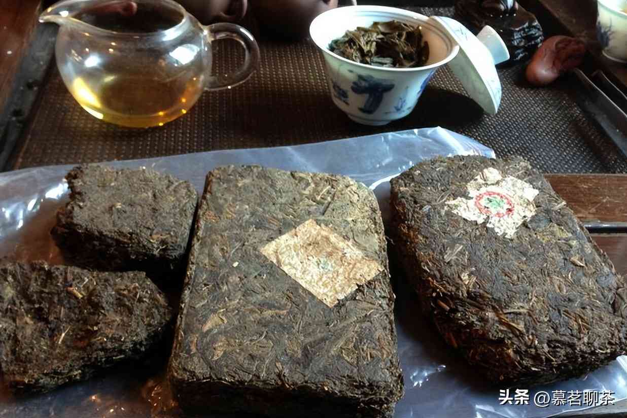 1973年普洱茶饼价格、历背景及收藏价值全面解析