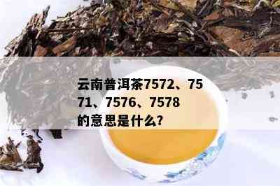 7571普洱茶与7572区别