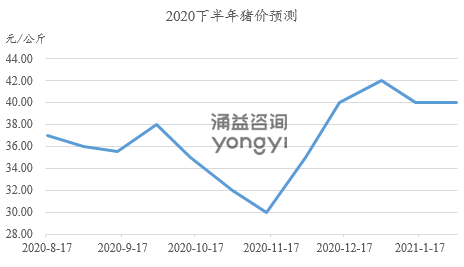 中粮7451普洱茶价值分析与市场行情调研