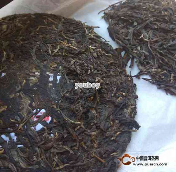 古树普洱茶纯料茶品价格大全及批发报价