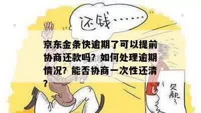 京东逾期分期还款计划详解，二次协商流程与金融处理方法一网打尽