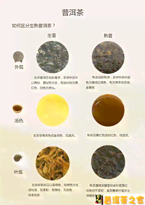 竹筒普洱茶怎么取出来保存？如何打开并评估其收藏价值？