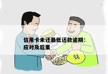 两年未还款信用卡的后果及应对策略