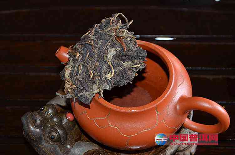 冲泡普洱茶用多大的紫砂壶