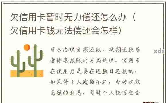 借呗分期和信用卡欠款优先还哪个