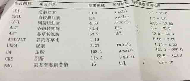 肝转氨酶有点高可以喝普洱茶吗