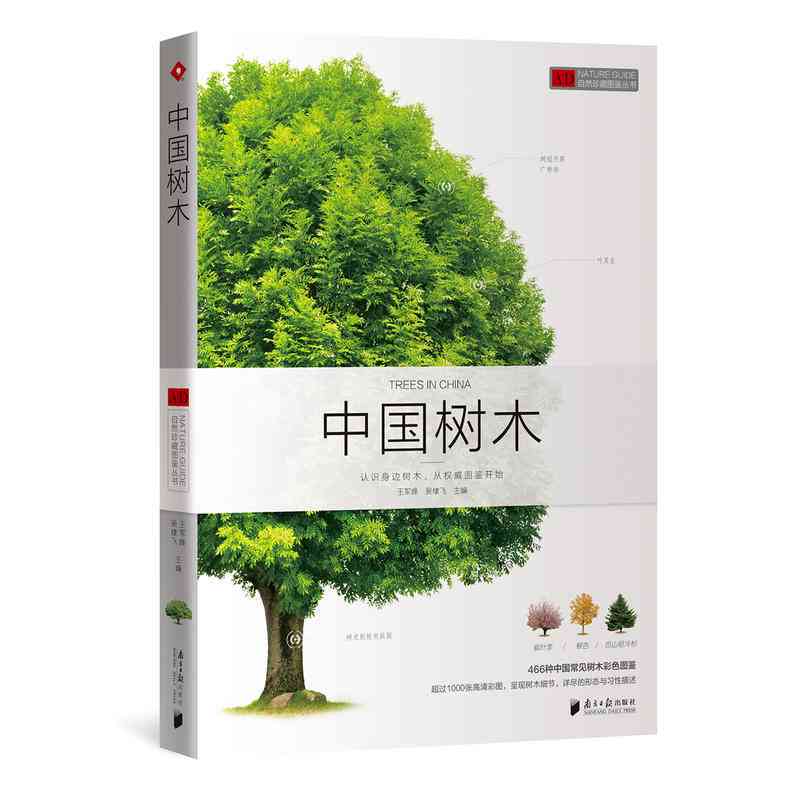 福海绿大树2005年珍藏版：如何鉴别真伪？其他年份的有吗？