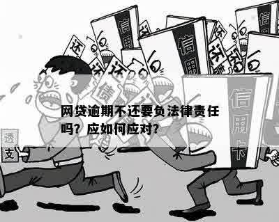 网贷逾期：可能的后果与法律责任全面解析