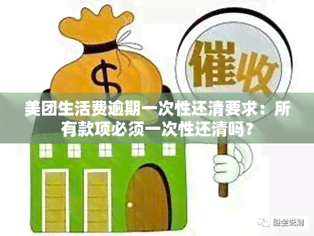 美团生活费逾期还款：一次性还清所有欠款还是分期付款更合适？