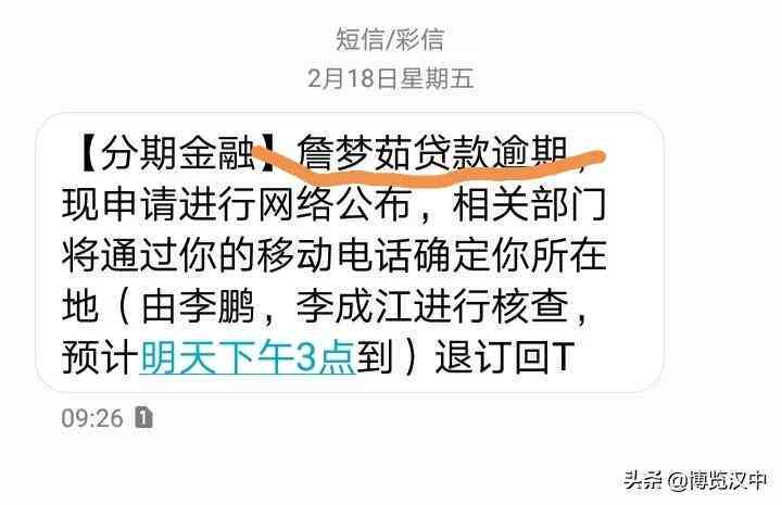 '网贷逾期的结果：影响、查询方式及应对'