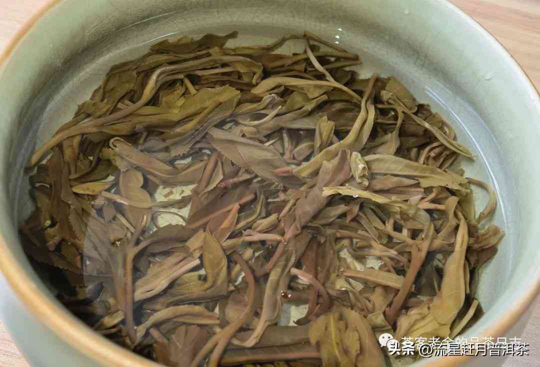 老曼峨普洱茶的独特魅力：特点、功效及价格解析